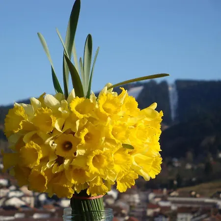 Apartment Les Epinettes Grand Terrasse Loggia *
