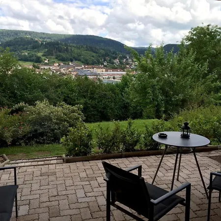 Les Epinettes Grand Terrasse Loggia * Gerardmer