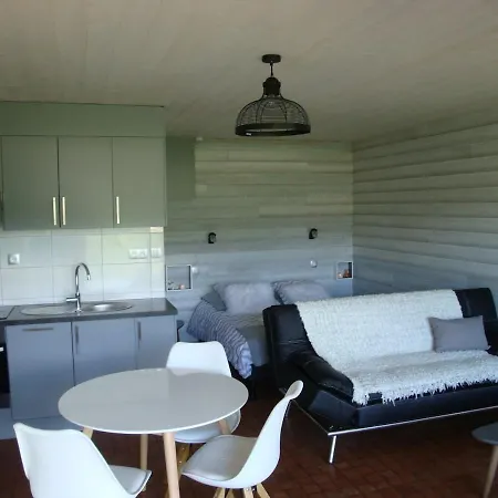Les Epinettes Grand Terrasse Loggia * Gerardmer