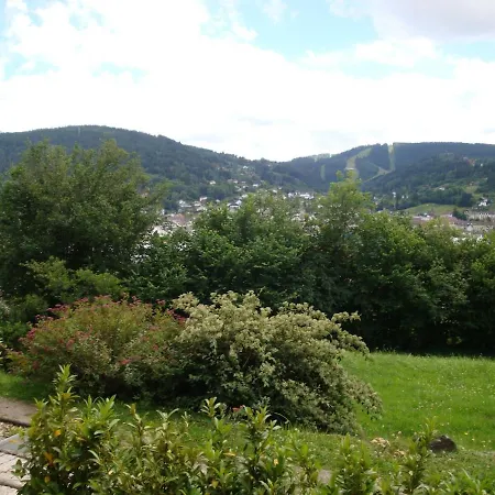 Les Epinettes Grand Terrasse Loggia * Gérardmer