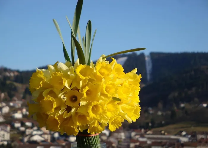 Apartment Les Epinettes Grand Terrasse Loggia *