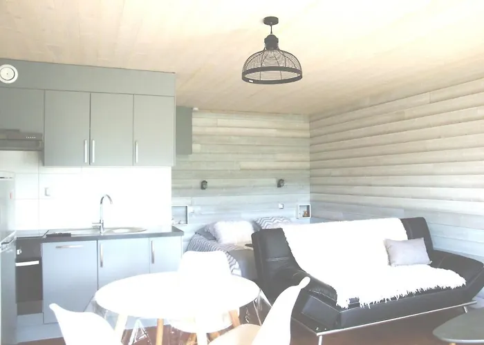 Apartment Les Epinettes Grand Terrasse Loggia Gerardmer