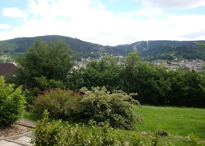 Les Epinettes Grand Terrasse Loggia * Gerardmer